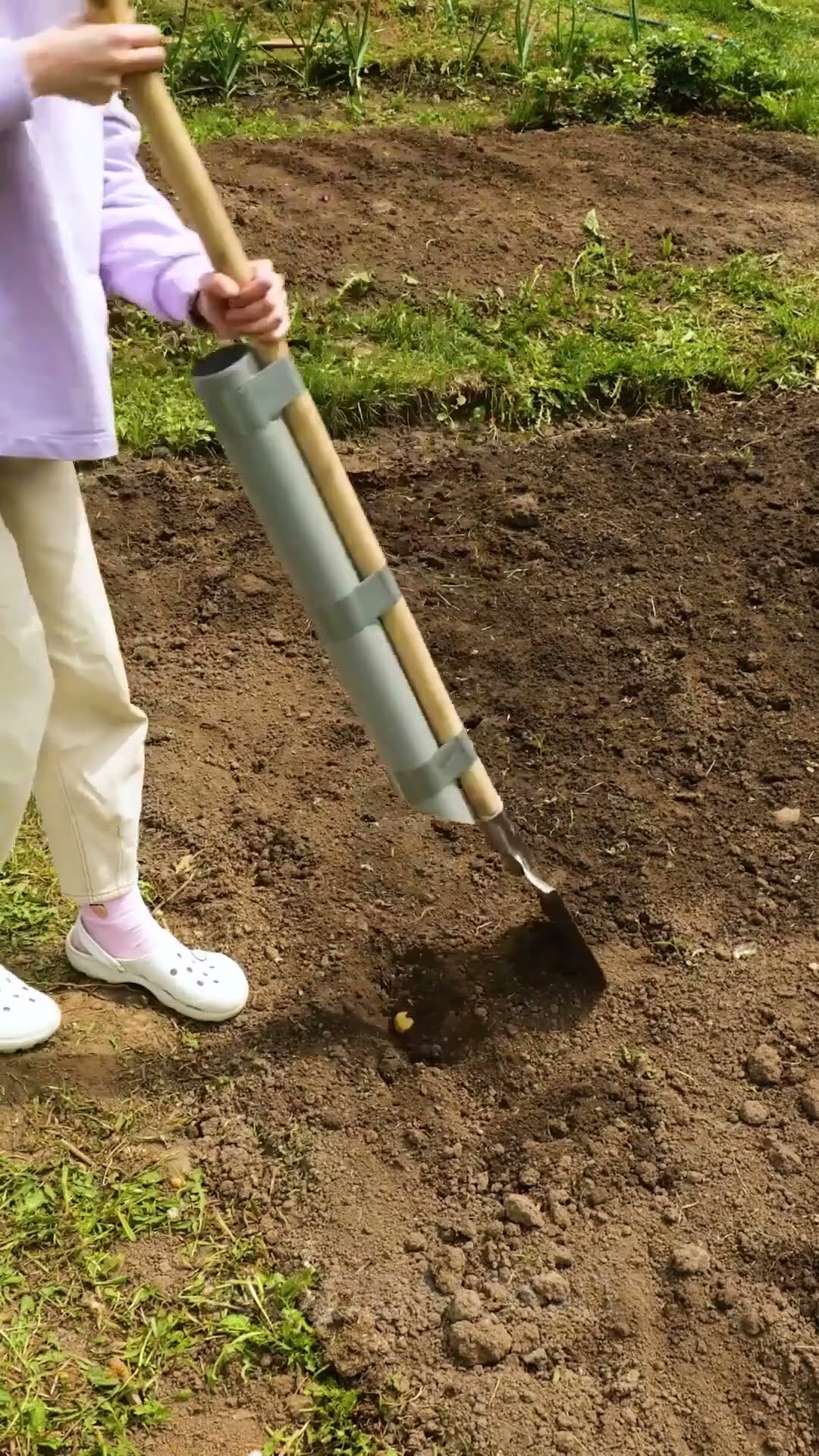 The Easy Way to Plant Plants! ? Beginner’s Guide ?