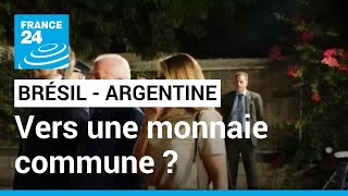 Le Brésil et l'Argentine veulent lancer une monnaie commune en Amérique latine • FRANCE 24