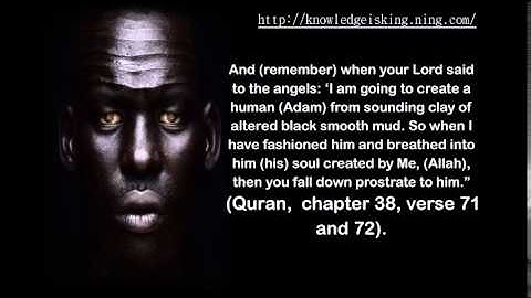 Adam; The First Man (K.I.K)