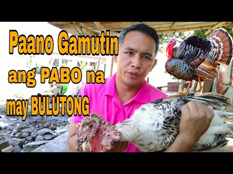 Video: Paano Magluto Ng Inihurnong Pabo Na May Pulot