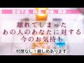 【タロット】🗝あの人からの伝言あります。離れてしまったあの人のあなたに対する今のお気持ち💘厳しく感じたらごめんなさい🙇♀️音信不通、疎遠、復縁、障害…
