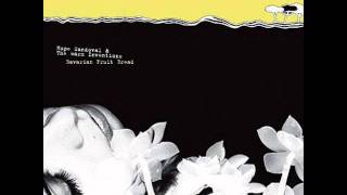 Hope Sandoval &amp; The Warm Inventions - Bavarian Fruit Bread (full album)