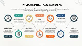 Environmental Data Workflow Explained Profile