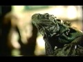 WSVN Commercials November 21 1999 1 WSVN Commercials November 21 1999 1