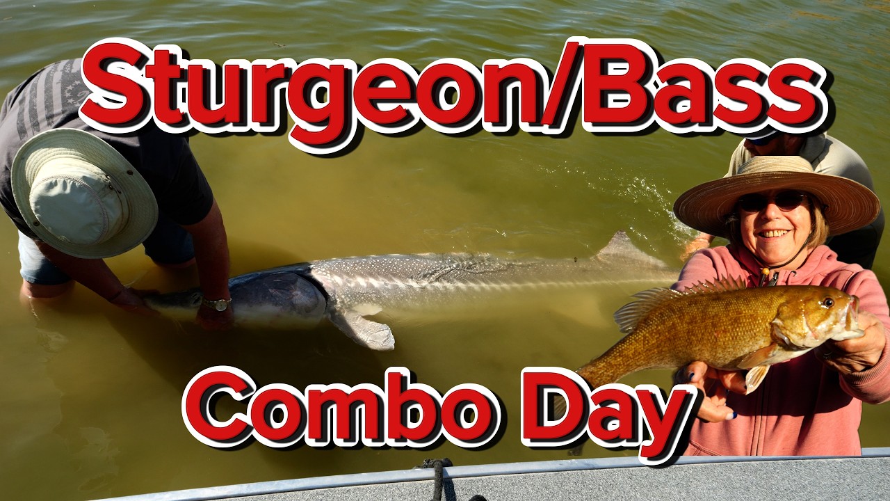 Sturgeon and Bass Combo!