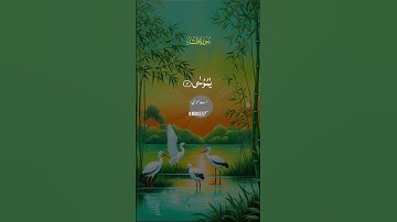 @وَإِنِّي لَغَفَّارٌ لِمَنْ تابَ وَآمَنَ وَعَمِلَ صالِحاً ثُمَّ اهْتَدى من سورة طه #القران #المصحف