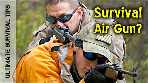 11 REASONS YOU NEED a 22 CALIBER AIR RIFLE - for Survival and FUN