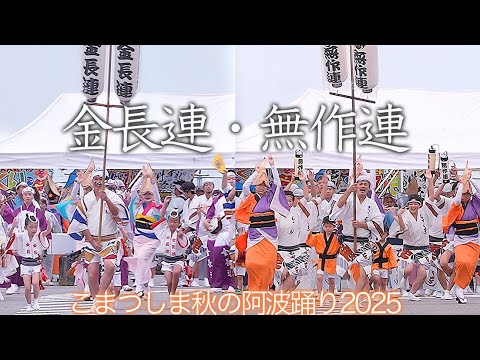 【金長連・無作連  阿波踊り2025】こまつしま秋の阿波踊り  小松島みなと交流センター  2025/10/05
