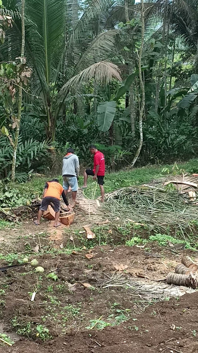 # #alam #teruskan #berjalan #suasanapedesaan #video #shorts