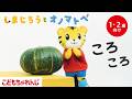 【しまじろうと オノマトペ】ころころ ボールあそび🏀|手あそび歌 | 童謡 | 赤ちゃん喜ぶオノマトペ |子ども向け動画詰め合わせ| しまじろうチャンネル公式