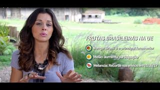 HF em Vídeo: Há espaço para exportarmos mais frutas à UE?