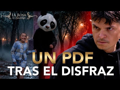 Atrapan al Panda Fu que DESVIVIÓ a Martita por ser el PDF que la ACECHABA |NO ES SOLO UNA CARICATURA