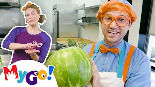 Blippi Visits Mom and Pop Popsicles! | Educational Videos for Kids | MyGo! Sign Language For Kids