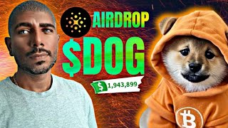 Por que estou Bullish em $DOG - Photon Airdrop