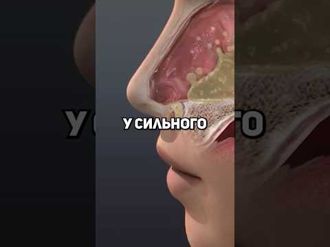 Кто воняет сильнее: геймеры или анимешники?