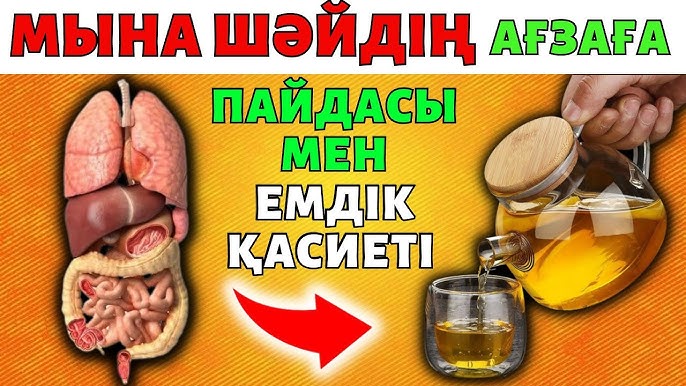 Жігіттің кеудесін сүйетін порно