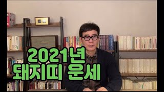 2021년 돼지띠운세