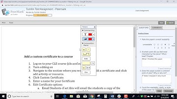 PeerMark in Turnitin -Student