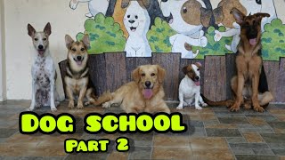 DOG SCHOOL PART 2