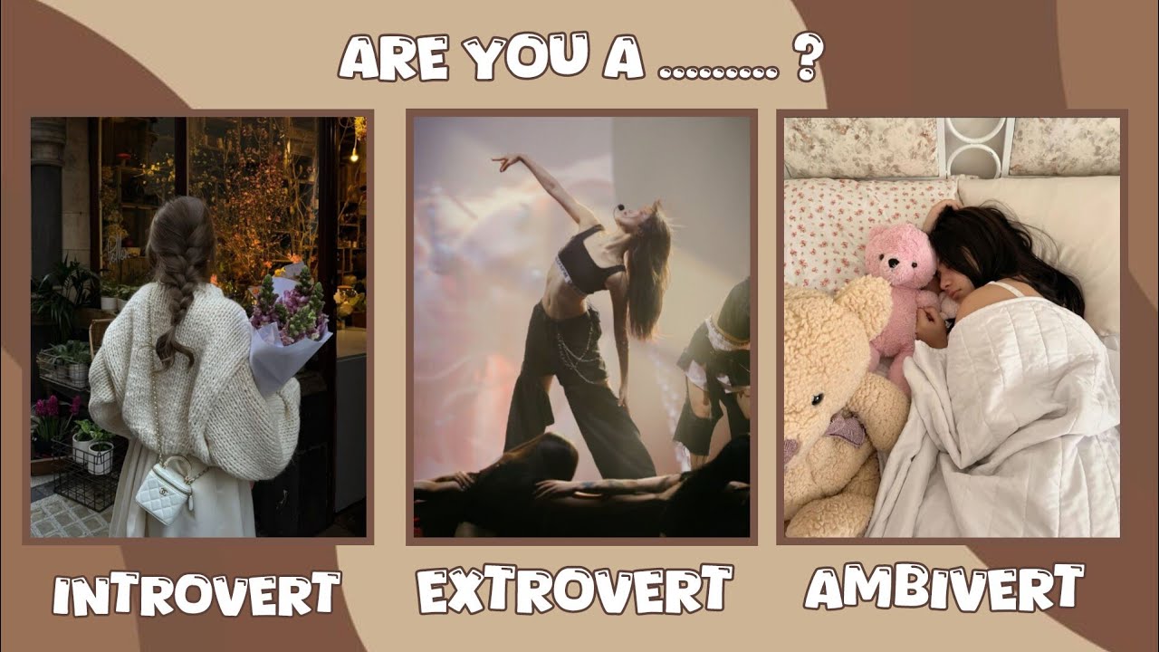 Introvert VS Extrovert VS Embivert 