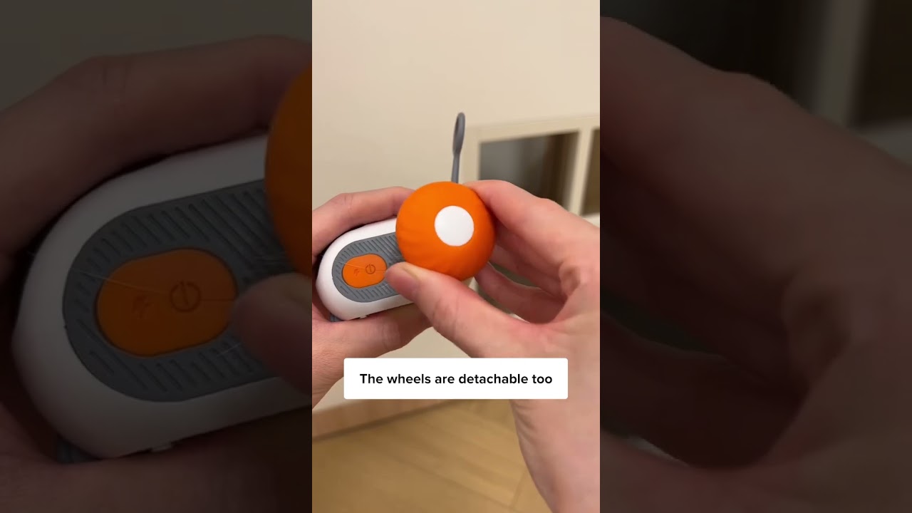 Got This Birthday Present For My Cat! 😻