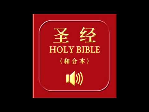 和合本圣经 • 诗篇 | Chinese Union Version Bible • Psalms