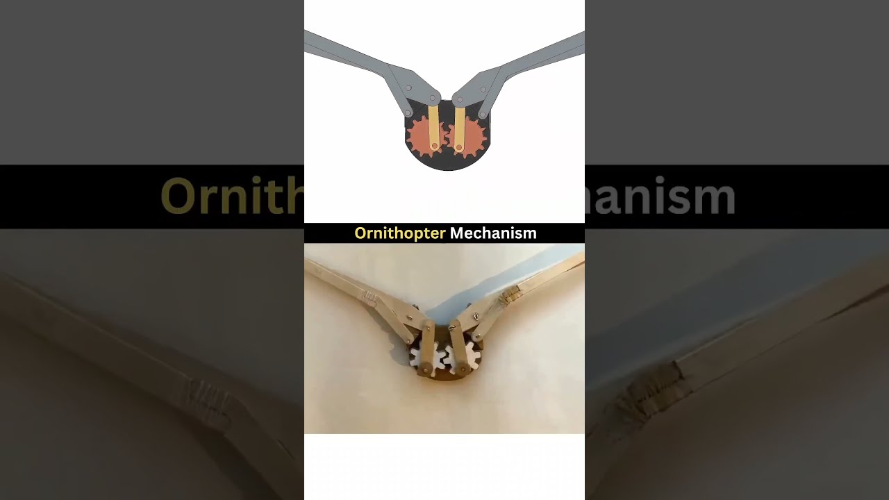Ornithopter Mechanism Solidworks Mechanical 3d 3dprinting