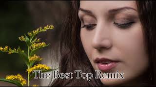 Zerrid - The Best Top Remix | Leila, Dooset Daram, Anla Beni, Porque, Inta Eyh | 2024