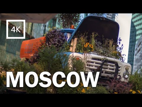 Деловой центр Москва-Сити. Прогулка по Москве