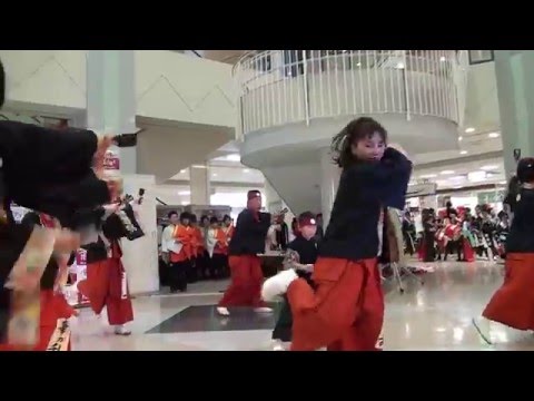 ポレポレ新春YOSAKOI'16 華の乱 -  百花繚乱