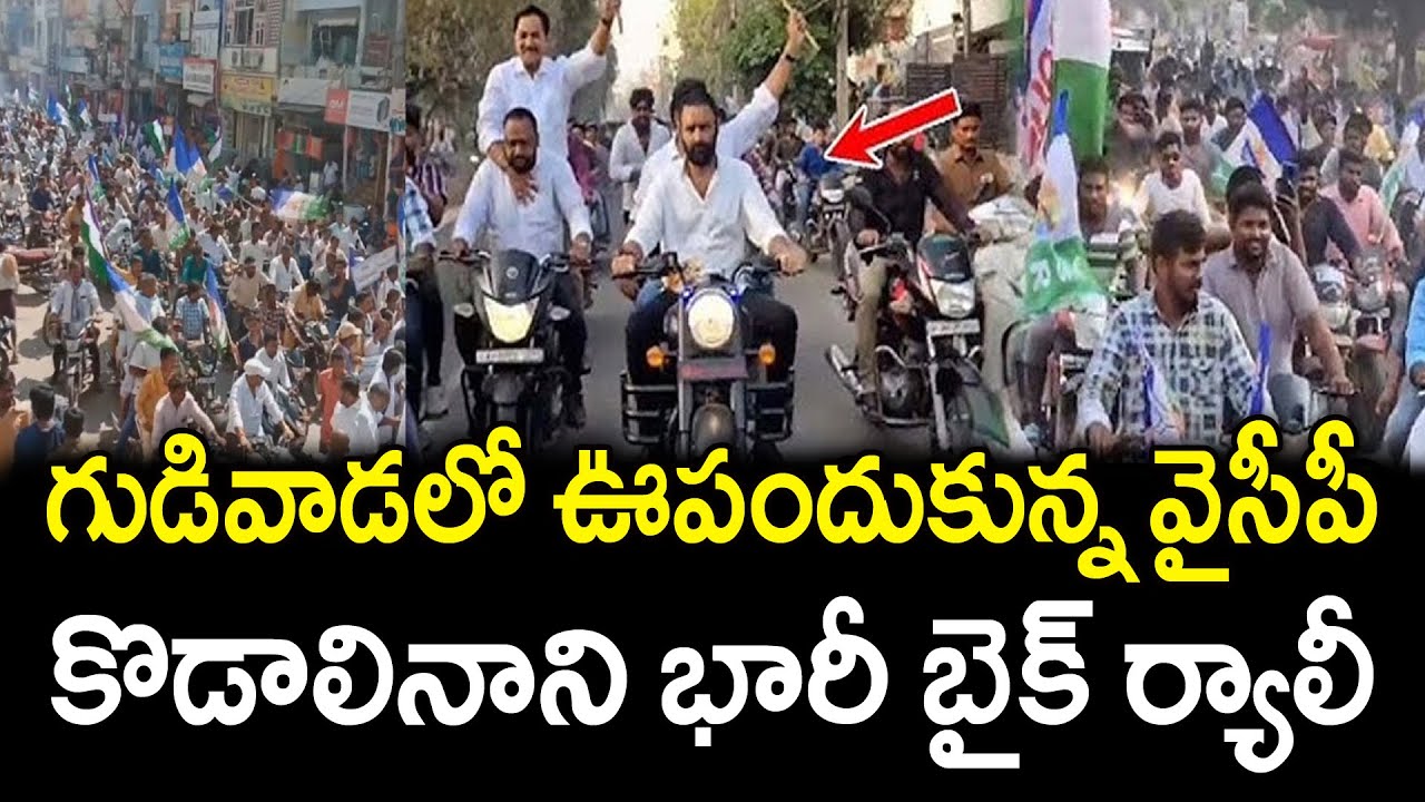 Kodali Nani Huge Bike Rally In Gudivada | YS Jagan : Varadhi News