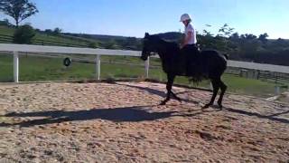 Video0019