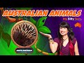 Week 1 – Creative Exploration | Australia Theme | Online Learning Portal