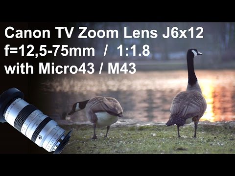 $80 Canon TV Zoom C-Mount 12,5-75mm f1.8 lens for M43 Micro43