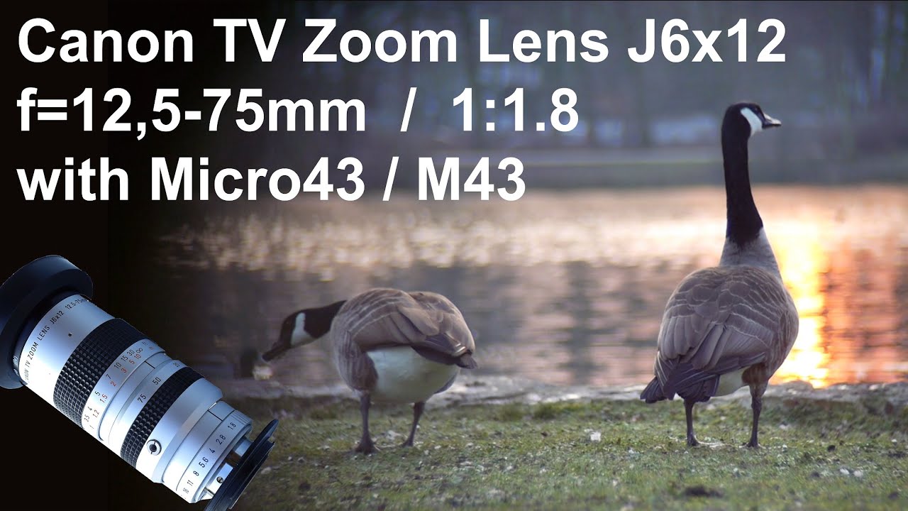 $80 Canon TV Zoom C-Mount 12,5-75mm f1.8 lens for M43 Micro43