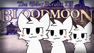 В трёх словах о The Elder Scrolls III: Bloodmoon