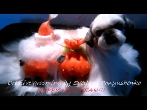 Creative grooming by Svetlana Ponyushenko \\Happy New Year!!!\\Креативный груминг