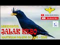 Jalak Kebo Gacor Isian Banyak Masteran Paling Di Cari Mp3 - Mp4 Download