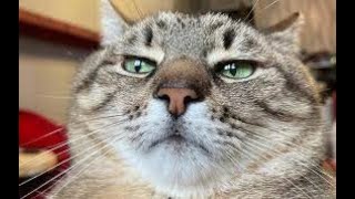 Мой Распорядок Дня День Победы