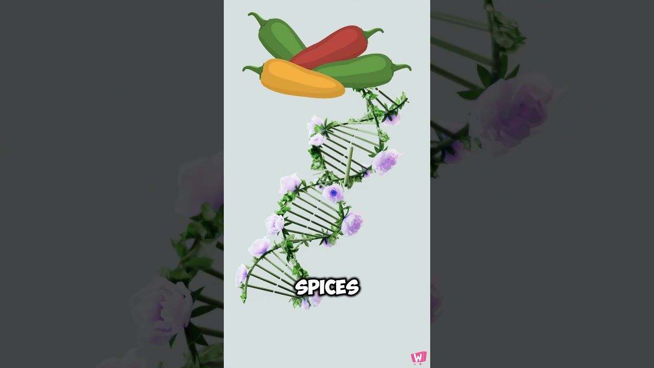 Exotic Gift Ideas for Moroccan Celebrations 🕌 