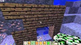 Minecraft Classic-Singleplayer Test Video