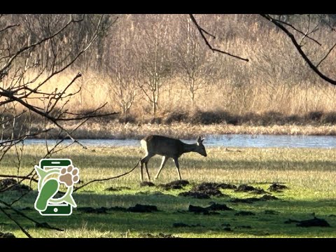 Losloopgebied buitengebied Haaksbergen Overijssel