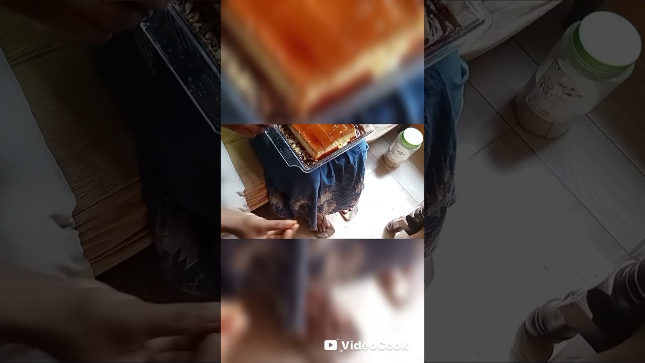 🌿চারমাস ঘুমন্ত অবস্থায় থাকার পর ঘুম ভাঙ্গল পারসীমন গাছের 🌿