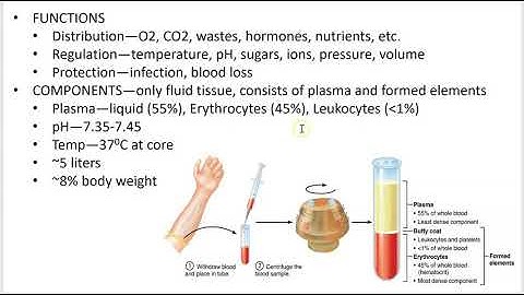 2402 Lecture Ch 17 Blood 1 PowerPoint Screencast