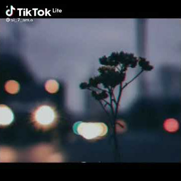 story wa lagu batak || natape jugul au