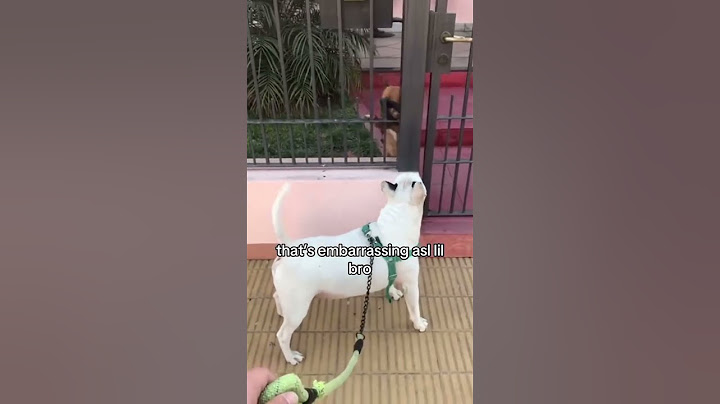 Doggy like thats mad embarrassing gang you gotta chill