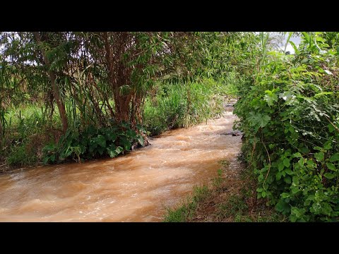 Water Sounds ASMR 🌊 Relax, Sleep & Find Peace