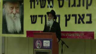 הרב זמרוני ציק בכינוס פעילים תשע"א