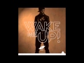 Avicii - Wake Me Up (Audio)