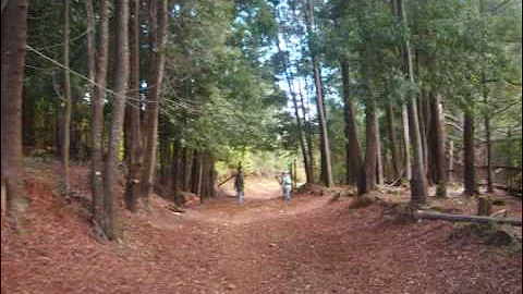 Coincidir - Alberto Escobar